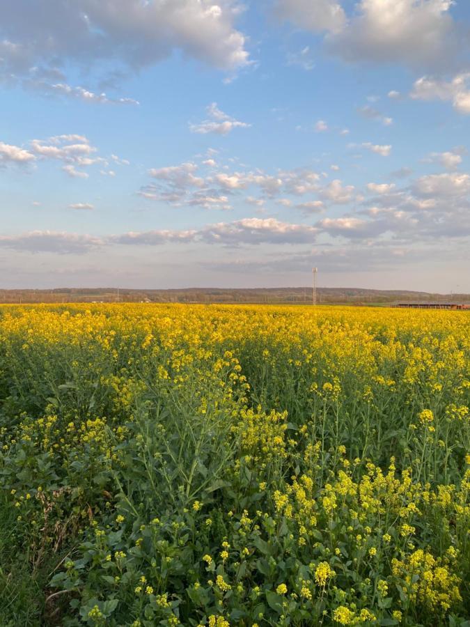 Confortable Duplex Au Coeur De La Campagne Picarde A 1H De Paris Biermont Dış mekan fotoğraf